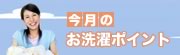今月のお洗濯ポイント